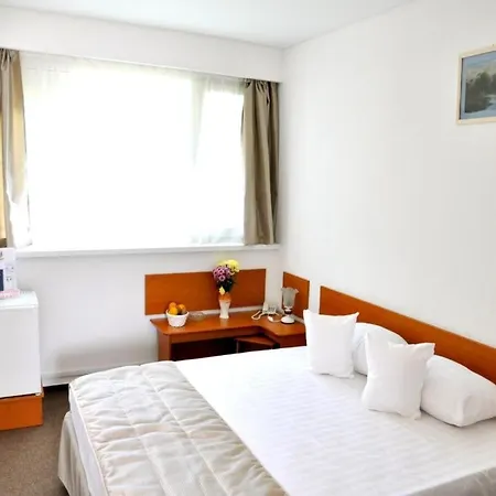 Hotel Decebal Estival