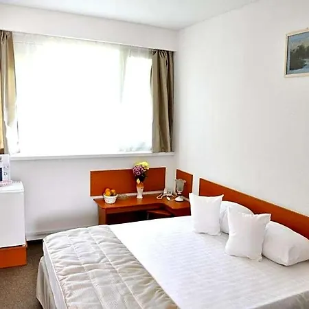Hotel Decebal Estival